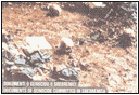 DOKUMENTI O GENOCIDU U SREBRENICI